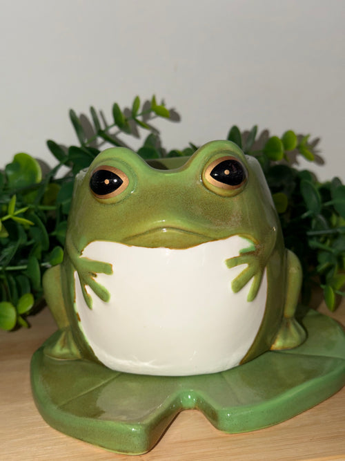 Luxurious Animal Burners